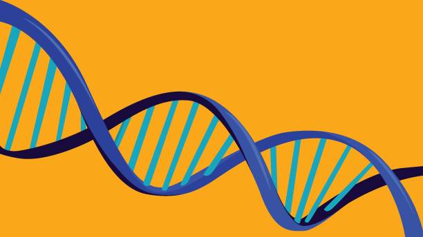 abstrakcyjne tło dna - dna backgrounds healthcare and medicine magnification stock illustrations