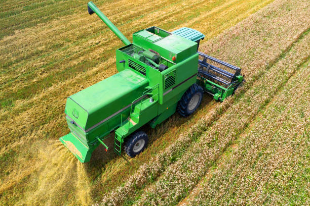 istock Aerial view on the combine working on the large wheat field 1162352330