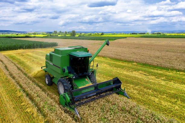 istock Aerial view on the combine working on the large wheat field 1162352353