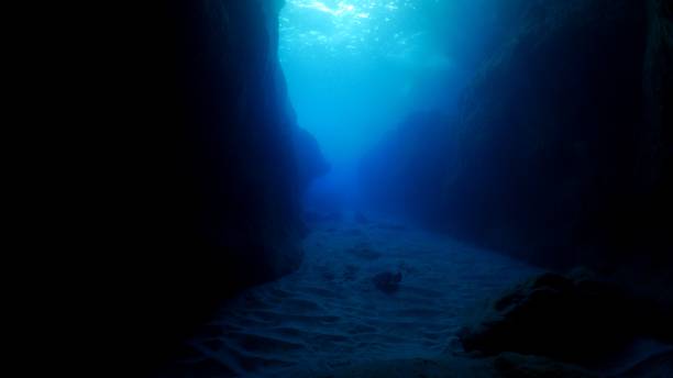 Marble Ray at giant undersea canyon, Ogasawara, Japan Ogasawara Islands, Tokyo, Japan - June 17, 2018 : Underwater sea life at Ogasawara Islands (2018_0614_0621-06-17_115457-005) scuba diver point of view stock pictures, royalty-free photos & images