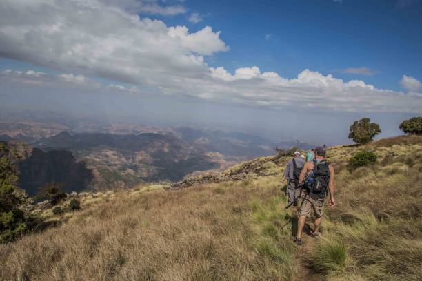 istock Mountain trip in Savannah 1162357703