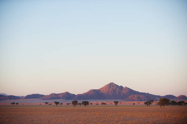 Pink Namibian Landscape at sunrise Namib Rand Namibia Africa