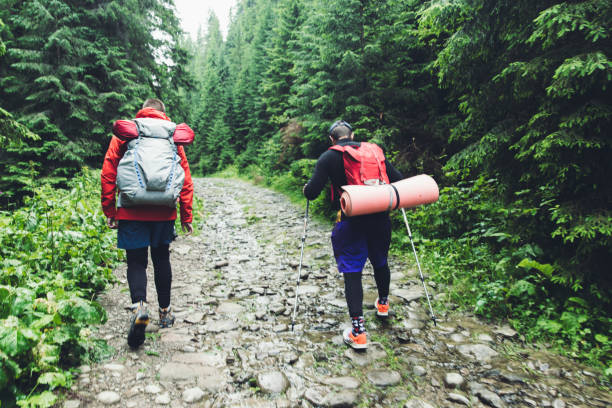 istock Friends backpackers hiking in the mountains 1162361800