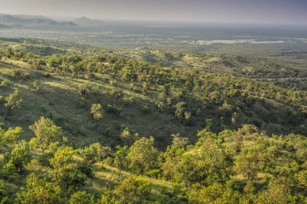 istock Omo Valley. Ethiopian landscape 1162361931