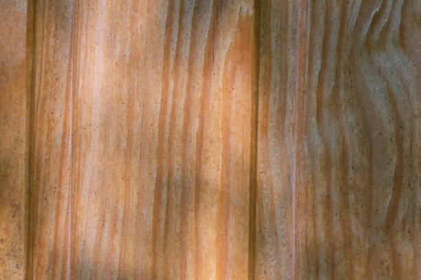 The wooden background is yellow from old treated boards brought together in a panel