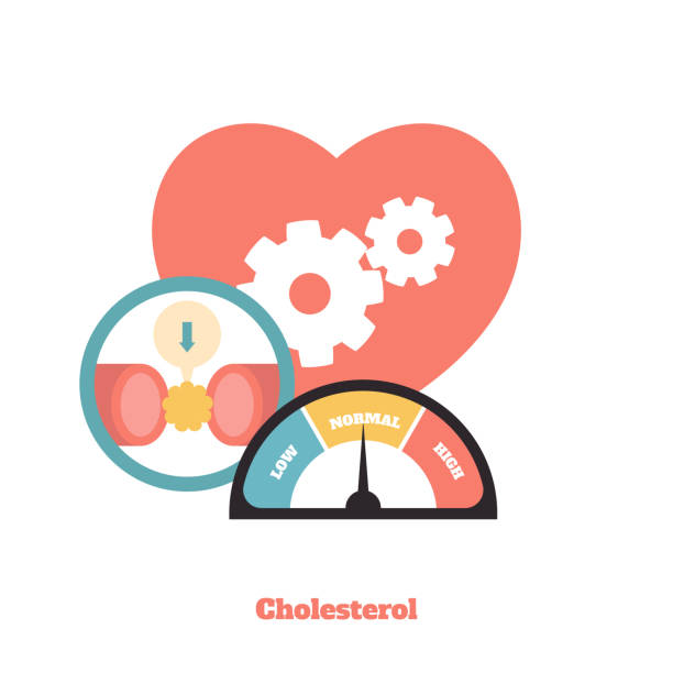 illustrazioni stock, clip art, cartoni animati e icone di tendenza di pressione sanguigna del colesterolo - cholesterol