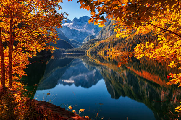 automne sur le lac gosau (gosausee) à salzkammergut, autriche - european alps austria autumn colors photos et images de collection