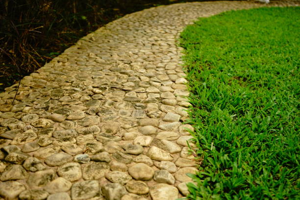 istock Green area and stone pathway in garden 1162385516