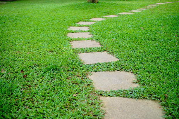 route et pelouse divisées - driveway stone paving stone concrete photos et images de collection