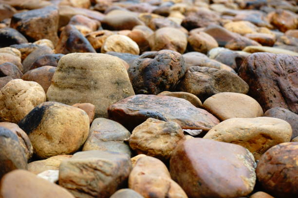 kolorowy kamyk, czysta woda ze żwirem nad jeziorem - stone rock river pebble zdjęcia i obrazy z banku zdjęć