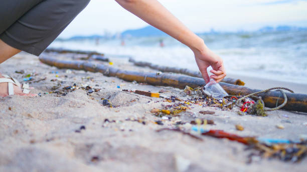 istock Garbage on the beach is any human that is disposed on the sea or abandoned on beaches. 1162389768