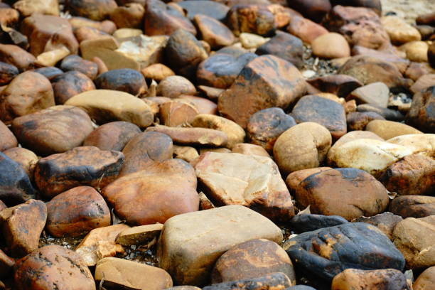 abstrakcyjne tło z suchym okrągłym kamykiem - stone rock river pebble zdjęcia i obrazy z banku zdjęć