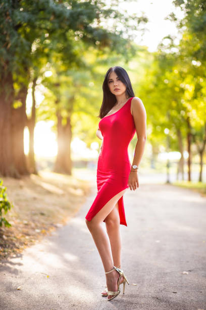 istock Little red dress 1162389955