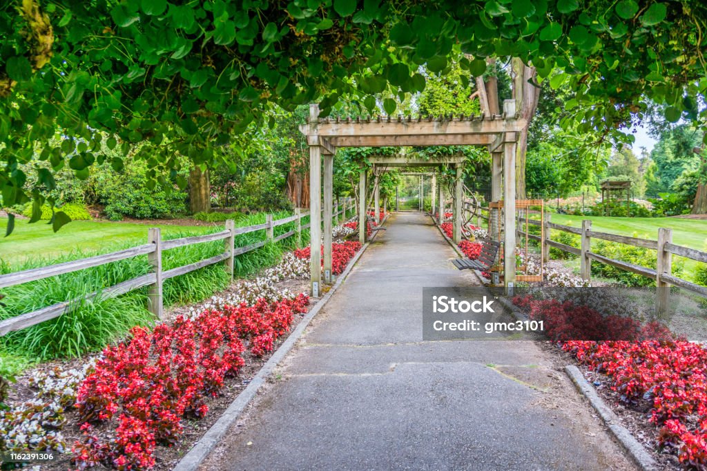 Garden Flowers And Walkway 2 A view of flowers and walkway at the rose garden in Point Defiance Park in Tacoma, Washington. Tacoma Stock Photo