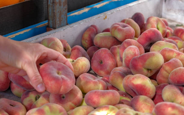 vista sulla pesca di saturno succosa fresca matura dal mercato degli agricoltori. - nectarine peach red market foto e immagini stock