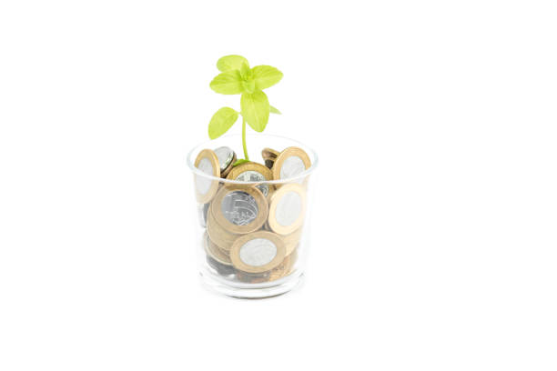Close-up of vase with several different coins of Brazilian money sprouting a tree. Selective focus.