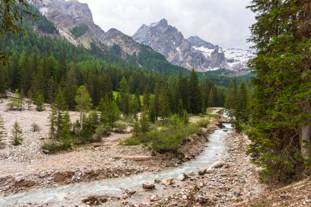 istock A mountain river in the Val Contrin. Dolomites. Italy. 1162392330