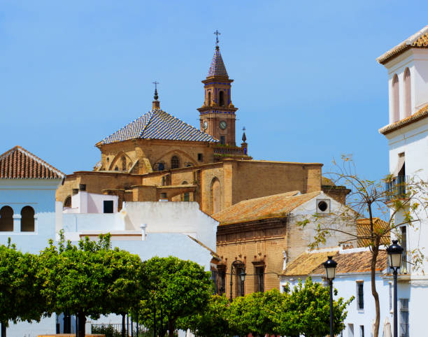 opinião do cartão de carmona, sevilha, spain - carmona - fotografias e filmes do acervo