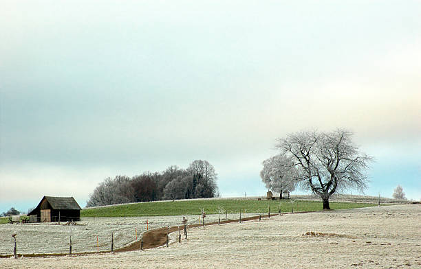 istock Landscape on a frosty Day 116239370