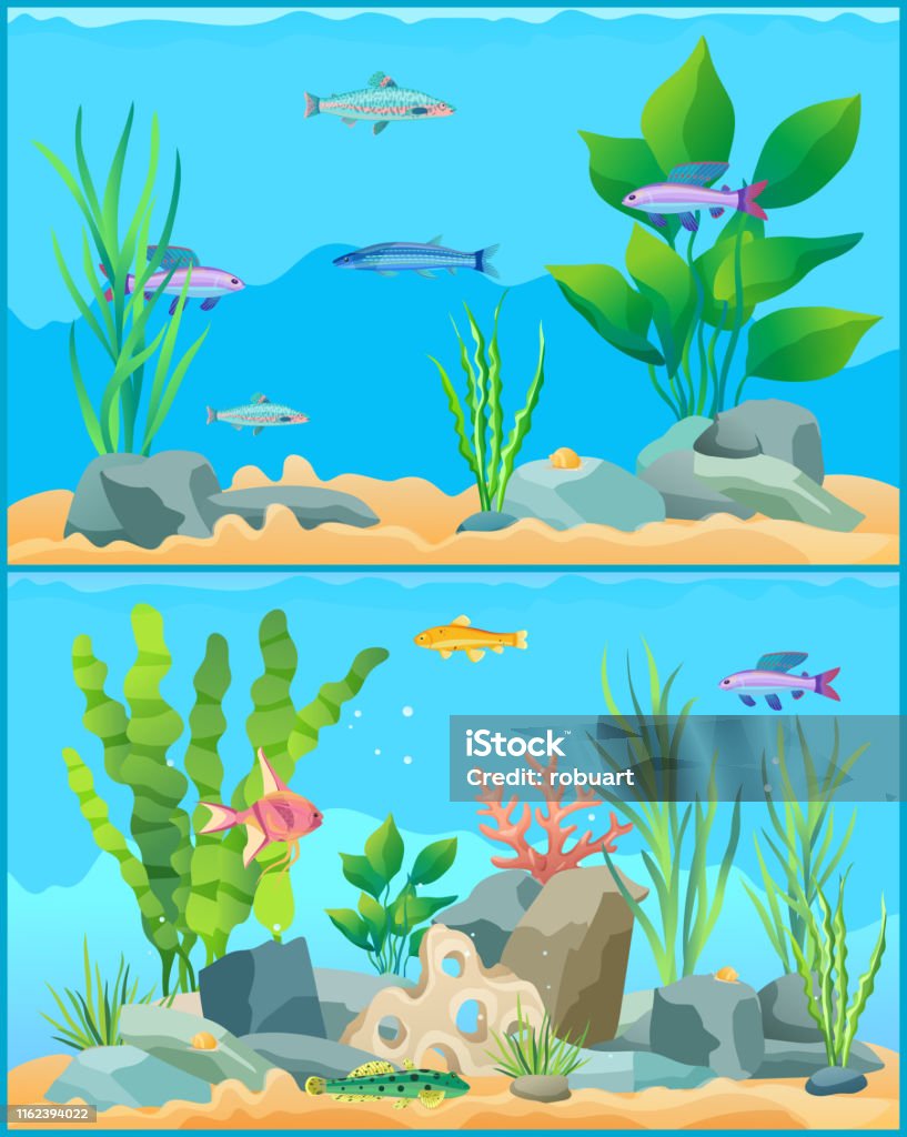 Ilustración de Coloridos Peces Del Acuario De Dibujos Animados Conjunto  Cartel De Promoción y más Vectores Libres de Derechos de Lecho del mar -  iStock