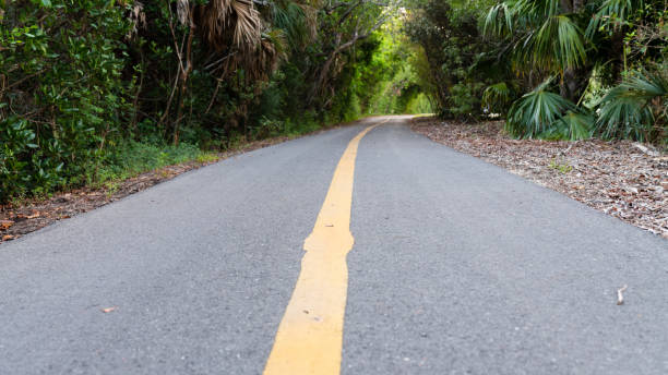 istock Yellow center line on a rural tarred road 1162395279