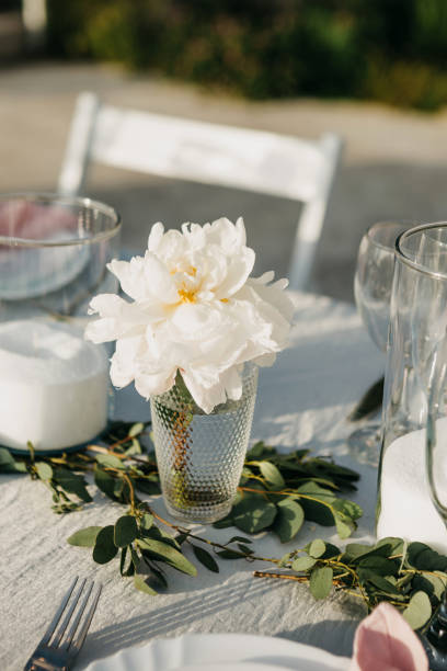 istock Beautiful white flower on the table 1162395387