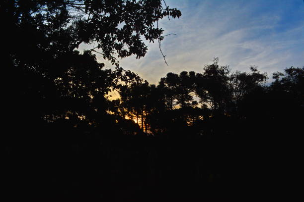 istock Landscape of evening in Campo Alegre 1162395660
