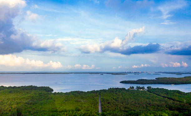 vue aérienne d'une promenade menant à la réserve aquatique d'estero bay près de bonita springs en floride - bonita springs photos et images de collection