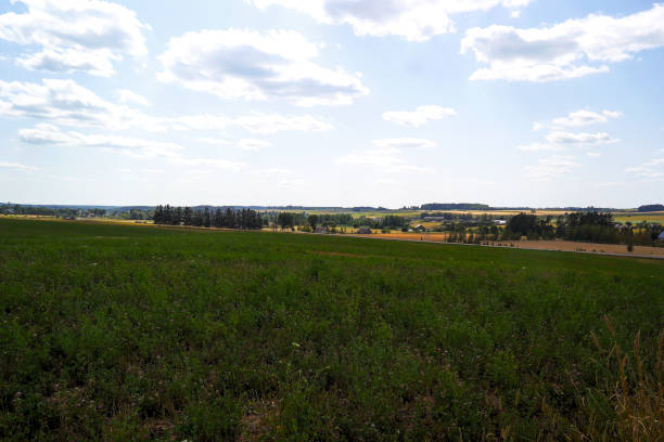 istock Beautiful panoramic view of a  field. Lithuania 1162396749