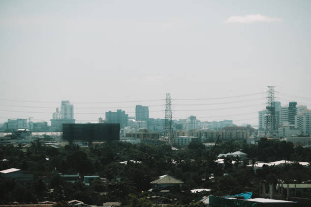 istock Capital view during the day in Thailand with grain. 1162398010