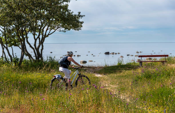 istock Woman bicycling on sea shore 1162400423