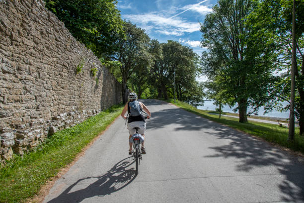 istock Woman bicycling on sea shore 1162400729