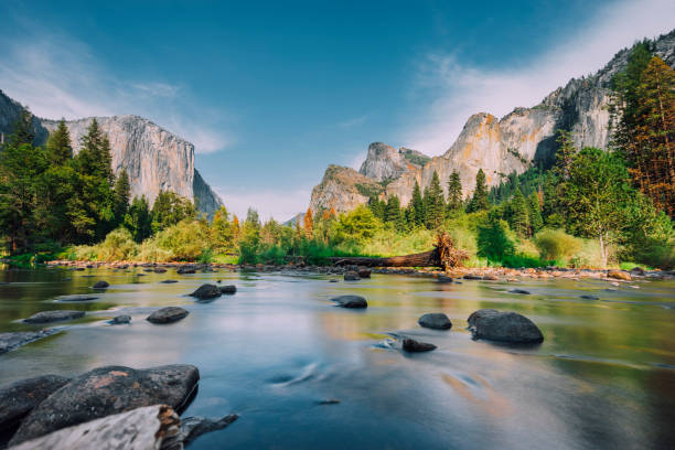 Yosemite Park during a sunny day Yosemite Park during a sunny day yosemite national park stock pictures, royalty-free photos & images