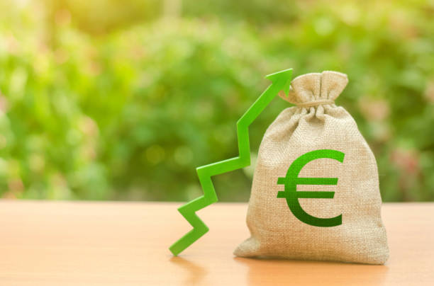Money bag with Euro symbol and green up arrow. Increase profits and wealth. growth of wages. Favorable conditions for business. Investment attraction. loans and subsidies. favorable conditions bolsa de dinero con símbolo euro y flecha verde hacia arriba. aumentar los beneficios y la riqueza. crecimiento de los salarios. condiciones favorables para el negocio. atracción de inversiones. préstamos y subsidios. condiciones favorables