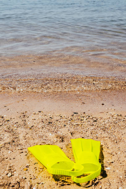 istock yellow swimming flippers 1162405594