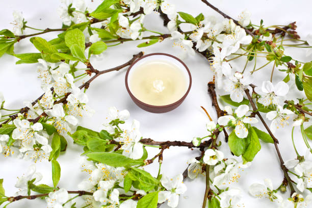 té verde en una taza de cerámica con ramas de manzano en flor - green tea cherry blossom china cup fotografías e imágenes de stock