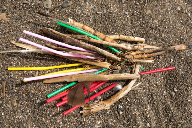 istock colorful single use plastic straws garbage washed up on the beach illustrating stop pollution 1162414633