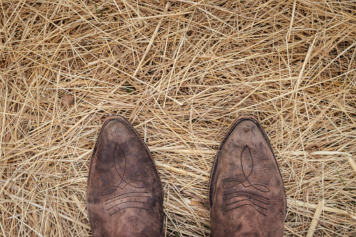 De pie con botas de vaquero sobre heno dorado. photo