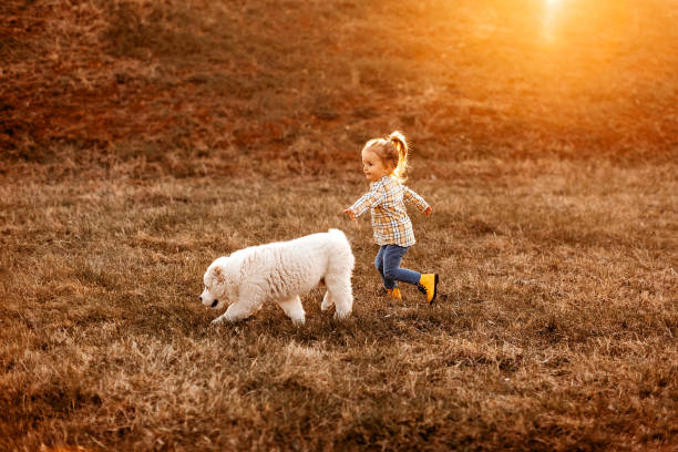 istock Cute girl playing with albai dog 1162416557