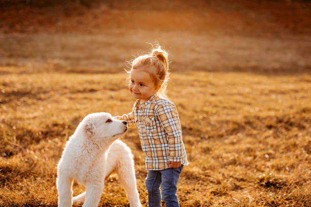 istock Albai dog is my favourite 1162416671