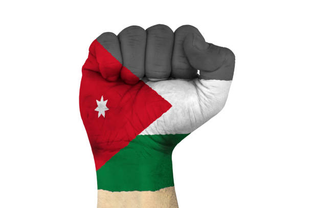 male hand in fist shape with flag covered