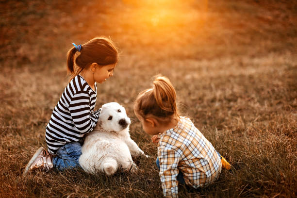 istock Girls having good time with albai dog 1162419391