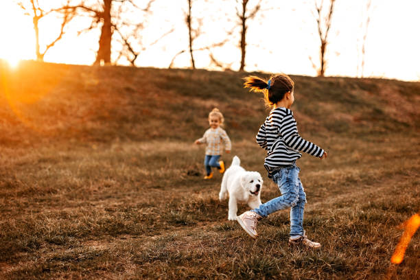 istock Girls having good time with albai dog 1162419484