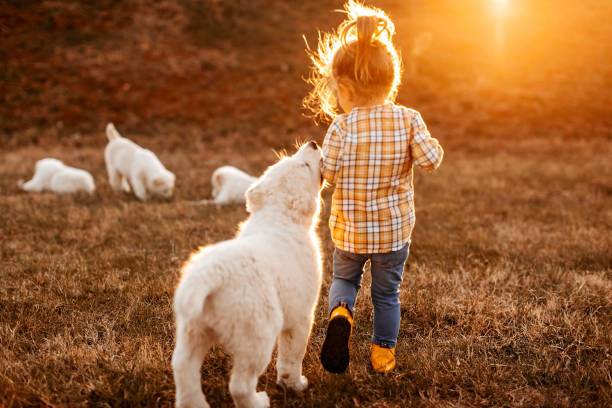 istock Cute girl playing with albai dog 1162419549