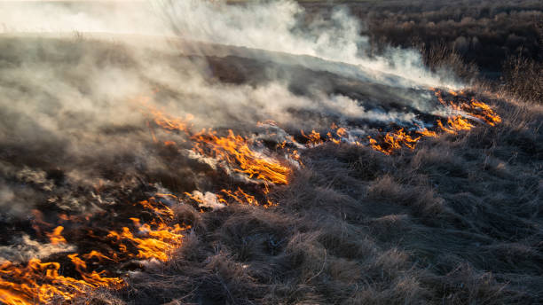 dym i ogień, spalanie suchej trawy na zboczu wzgórza. - dry landscape panoramic grass zdjęcia i obrazy z banku zdjęć