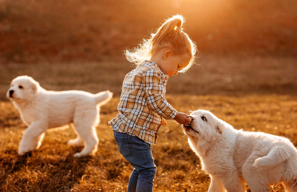 istock Happy and free girl 1162419660
