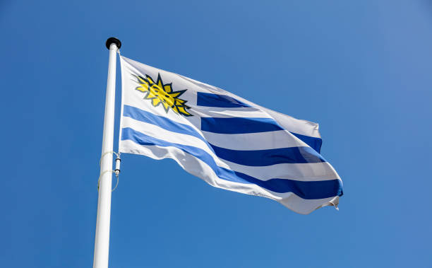 istock Uruguay flag waving against clear blue sky 1162419723