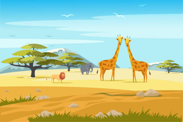 illustrations, cliparts, dessins animés et icônes de concept africain de bannière de vecteur plat de safari - savane africaine