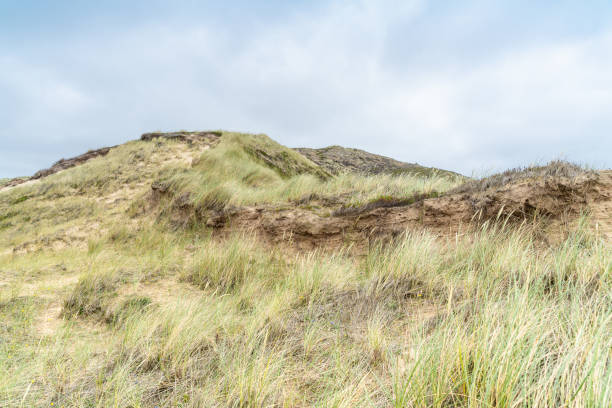 istock Dune with beach grass on Sylt island. Cloudy weather. 1162422957
