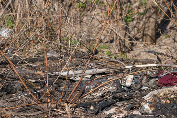 istock Trash on the agriculture field. Ecology problem and big harm to nature. 1162423920